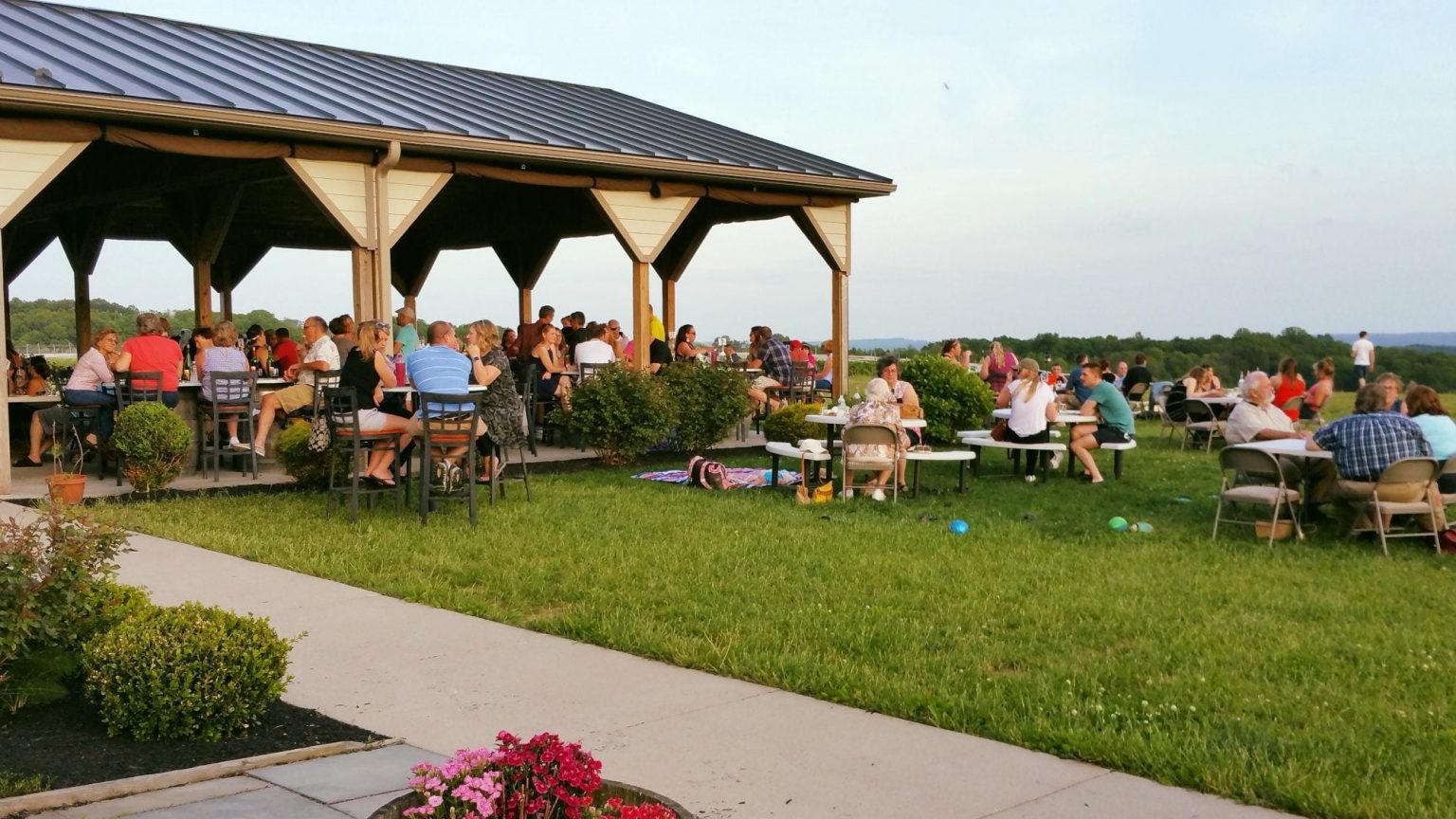 Setter Ridge Vineyards where wine, music and dogs meet Meet Greater